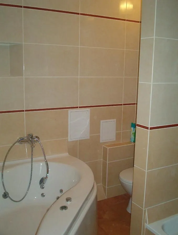 Apartments Near Khreshchatyk-Absolut Киев